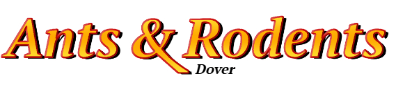 Dover Ant Exterminator & Rodent Control Company Logo